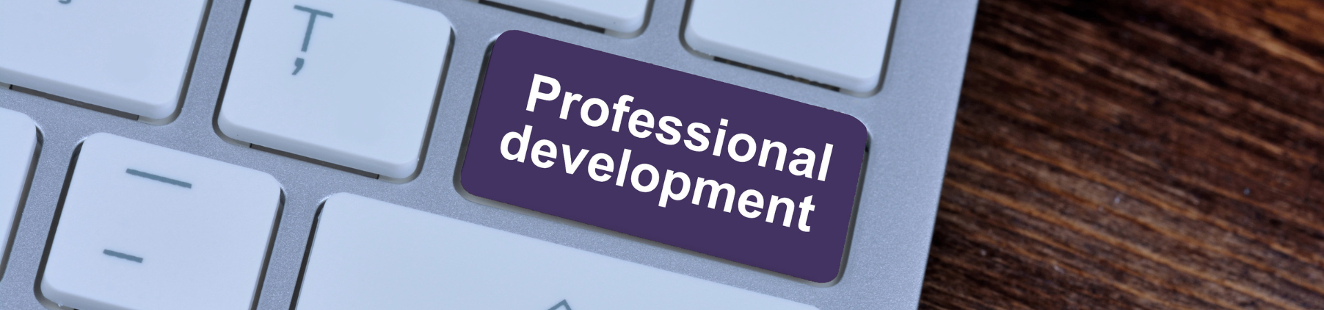 Professional Development