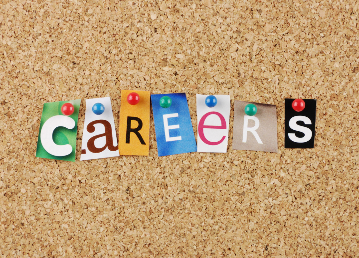 word "careers" in various fonts