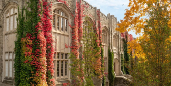 Exchange Opportunities